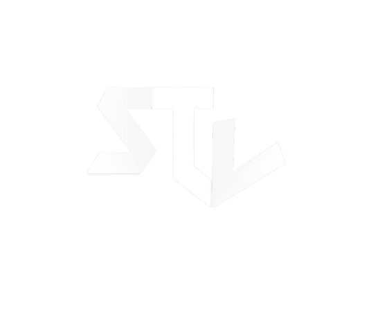 STEEZAVERSE